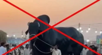 AI-Generated Video Claims Giant Bull at Karachi Cattle Market
