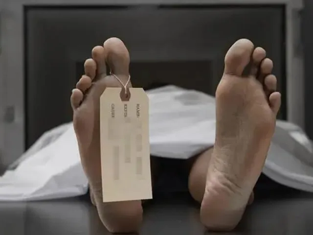 Man Allegedly Killed in Domestic Dispute with Son
