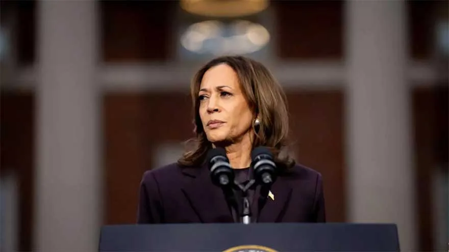 US Dems Release 2024 Election Analysis Amid Loss, Then Backtrack