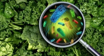 Scientists Uncover Cancer-Causing Chemicals in Commonly Cooked Foods