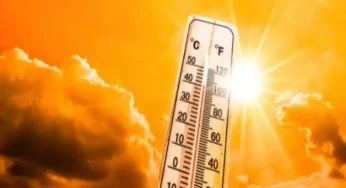 Punjab on Heatwave Alert as Temperatures May Hit 50°C During Eid-ul-Azha