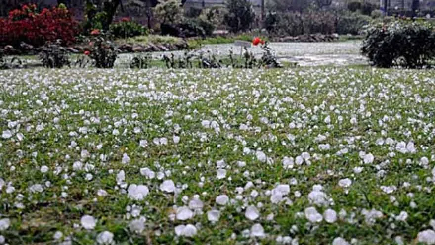 Heavy Rain, Hailstorm Ease Lahore’s Heatwave, Disrupt Traffic & Power Outages