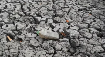 UN Forecasts Strong El Nino to Raise Global Temperatures, Heighten Extreme Weather Risks