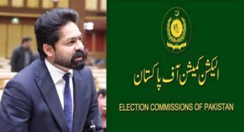 Election Petition Filed for MPA Saqib Chadhar’s Asset Records Amid Scrutiny