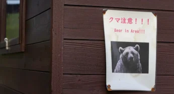 Bear Attacks Four in Fukushima, Injuring Residents Amid Hibernation Rise