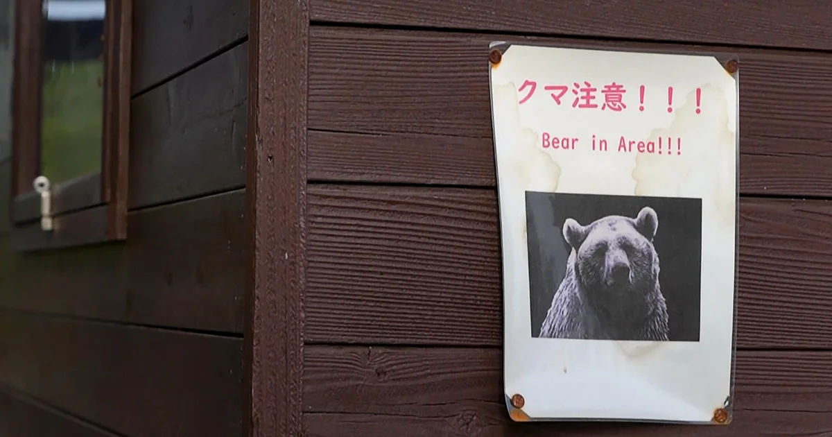 Bear Attacks Four in Fukushima, Injuring Residents Amid Hibernation Rise