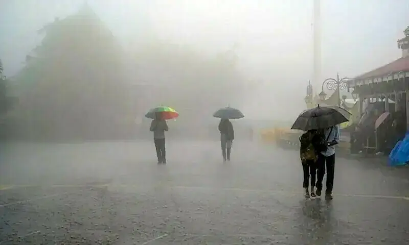 Punjab PDMA Predicts Rain, Strong Winds and Hailstorms in Most Districts