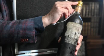 130-Year-Old Wine Unveiled After WWII & Communism: Restored by Original Producer Chateau d’Yquem