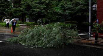 Japan Rains Hard as Tropical Storm Jangmi Hits, Disrupts Power to 60k Homes