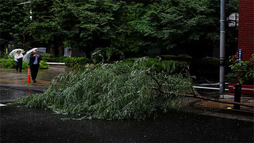 Japan Rains Hard as Tropical Storm Jangmi Hits, Disrupts Power to 60k Homes