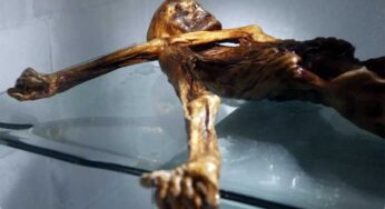 Scientists Discover Yeast in Ancient Iceman’s Guts, Bake Bread