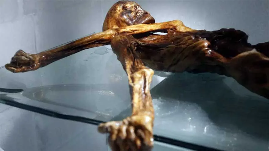 Scientists Discover Yeast in Ancient Iceman’s Guts, Bake Bread