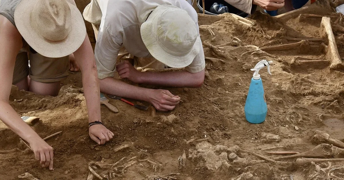Ancient Headless Skeletons Found in Central Europe Ditch: Terrifying Discovery Offers New Farming Insights