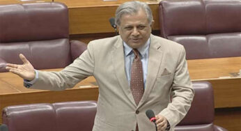Azam Nazeer Tarar Slams Foreign Hand in Kashmir Issue