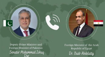 Egyptian FM Hails Pakistan’s Mediation Role in Regional Affairs