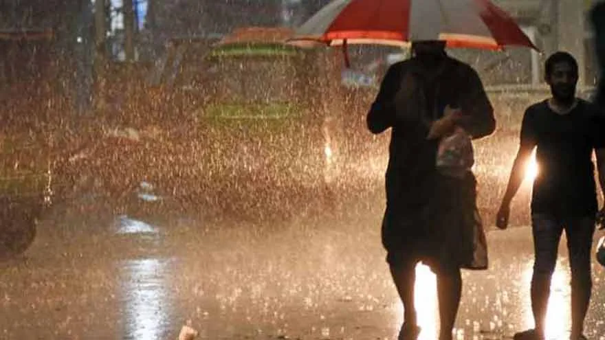 Five Killed, Several Injured in Rain-Related Incidents Across Punjab