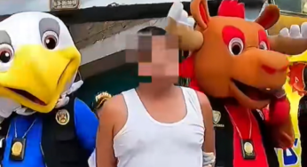 Peruvian Police Arrest Drug Suspect in Lima Using World Cup Mascot Costume