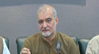 Political Actors Fight for Interests Amid IMF-Driven Budget, Says Hafiz Naeem