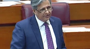 Govt Pursues Release of 10 Hostages in Somalia: Tarar