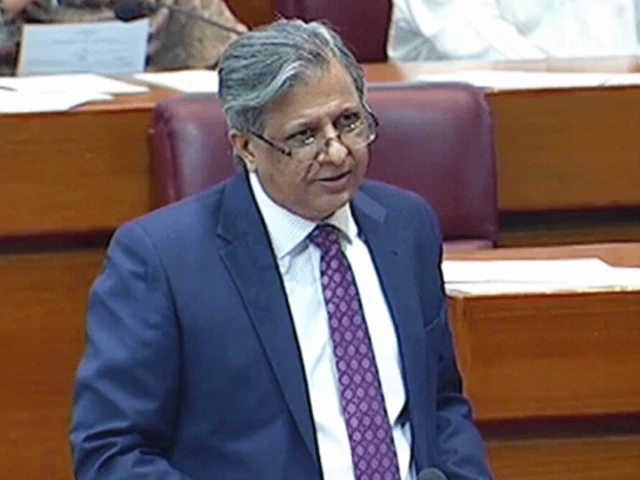 Govt Pursues Release of 10 Hostages in Somalia: Tarar