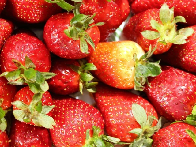 Violent Storms Devastate K-P Fruit Farms Amid Climate Change Concerns
