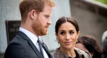 Prince Harry, Meghan Markle’s UK Visit Raises Questions About Motives