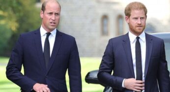 Prince Harry Prepares for Reconciliation with King Charles