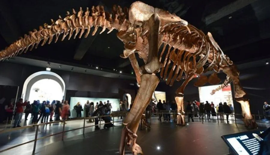 Scientists Unearth First Dinosaur Bone in Antarctica After 40-Year Hike