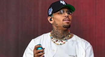 Chris Brown Ordered to Pay $13M for Housekeeper Mauled by Security Dog