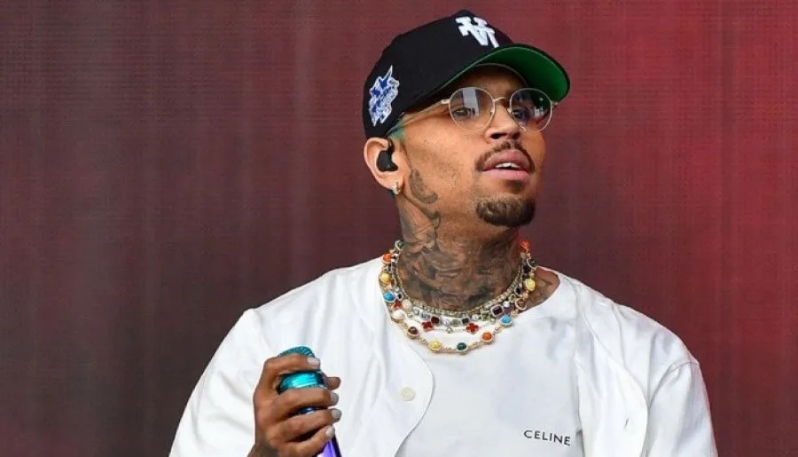 Chris Brown Ordered to Pay $13M for Housekeeper Mauled by Security Dog