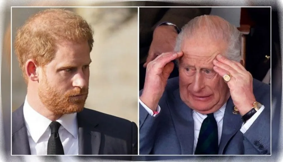 Prince Harry Criticizes Strained Patience for Sussex UK Trip