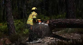 Portugal Requests EU, Spain, Morocco Support Amid Rising Wildfire Risk