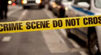 At Least 8 Shot in Coney Island Shooting, ABC News Reports