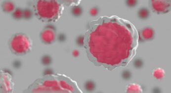 Hebrew University Study: Human Cells Compute Like Chips