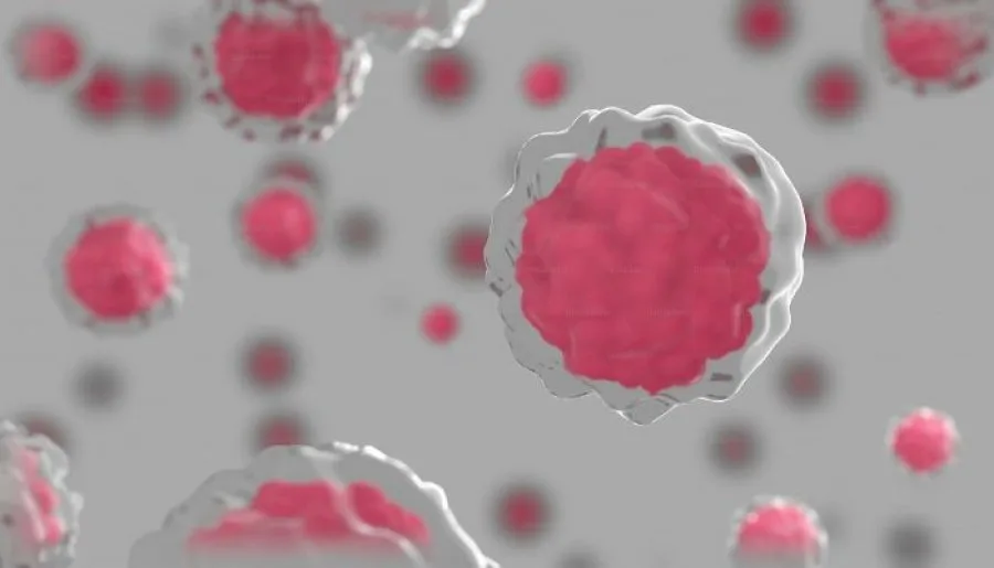 Hebrew University Study: Human Cells Compute Like Chips
