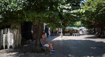Europe Faces More Deadly Weeks as New Heatwave Builds, WHO Warns
