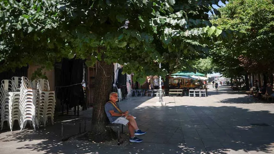 Europe Faces More Deadly Weeks as New Heatwave Builds, WHO Warns