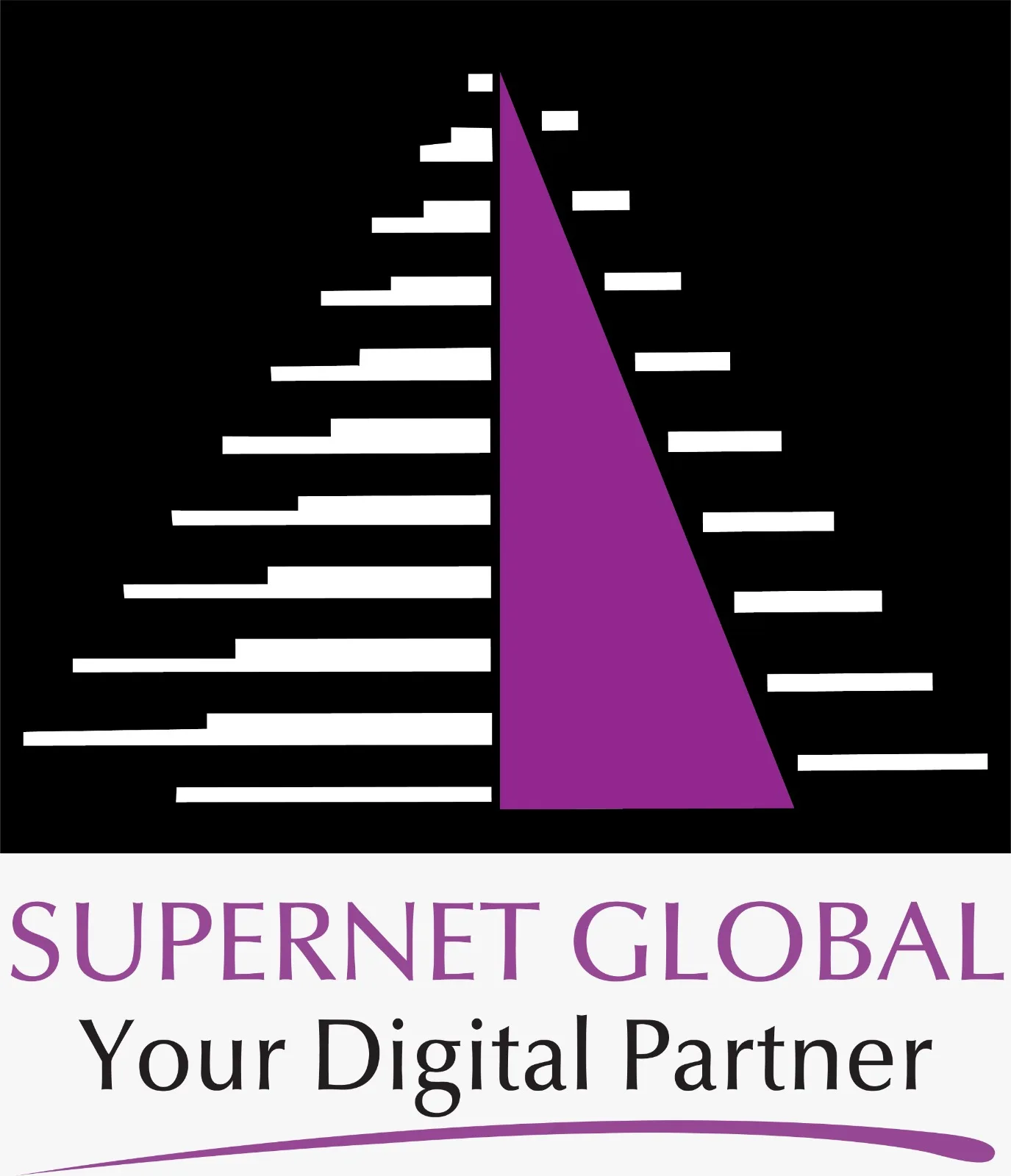 Supernet Technologies set to raise 915 million to strengthen its working capital for growing projects!