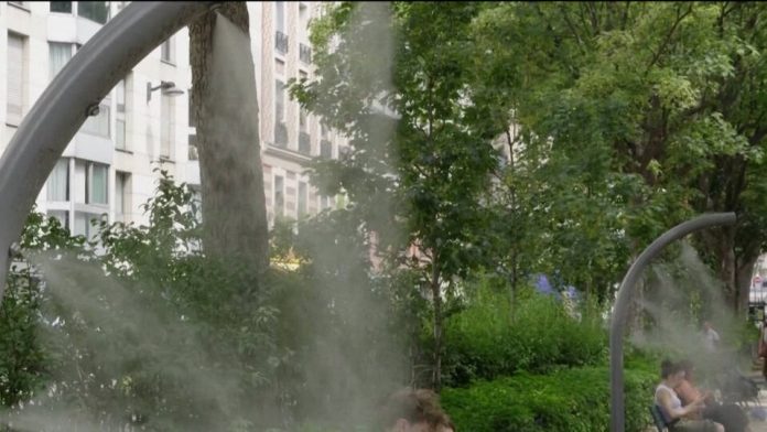 study-finds-european-heat-waves-killed-50-000-people-this-su
